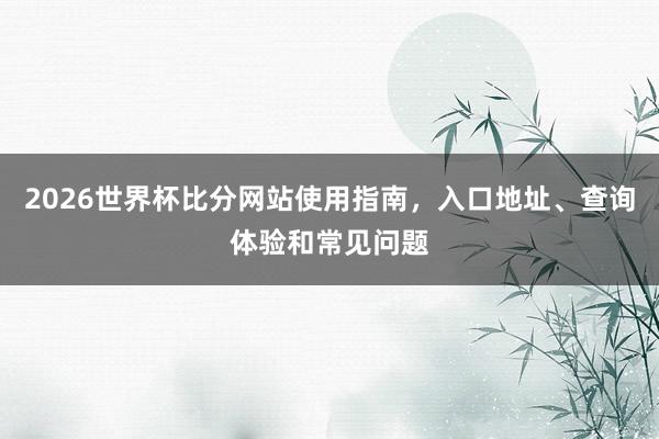 2026世界杯比分网站使用指南，入口地址、查询体验和常见问题