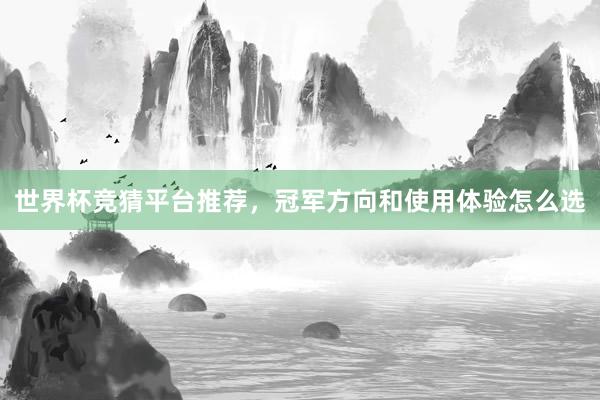 世界杯竞猜平台推荐，冠军方向和使用体验怎么选
